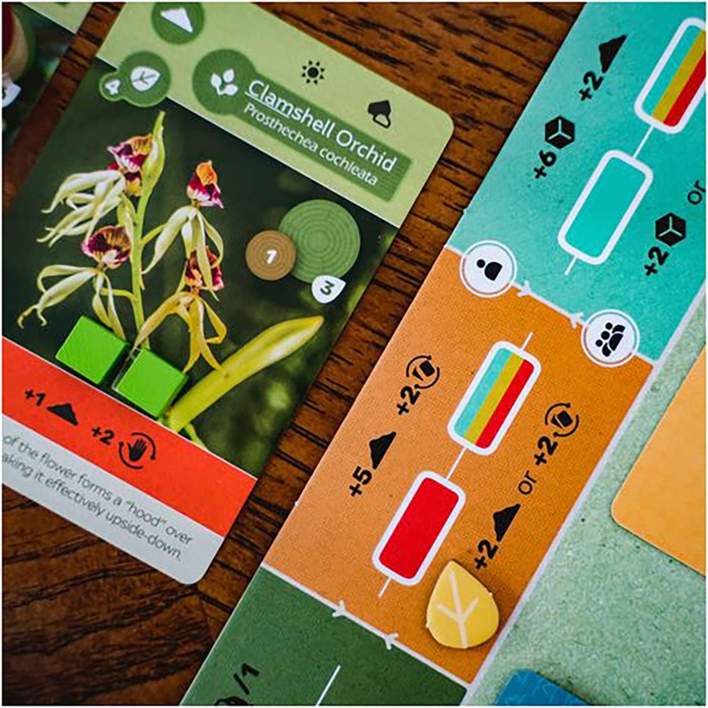 Earth | Board Game