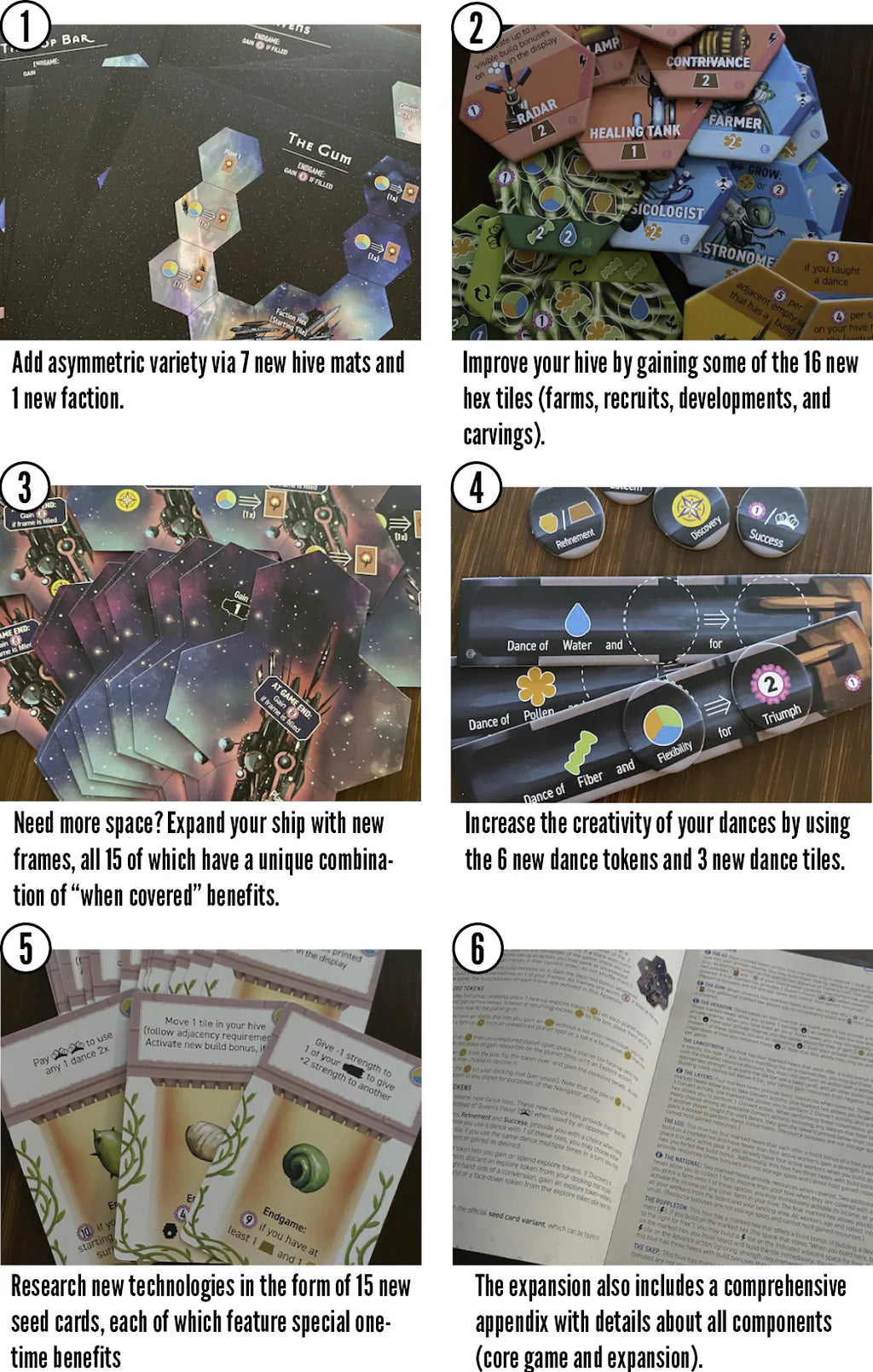Apiary: Expanding The Hive | Board Game Expansion